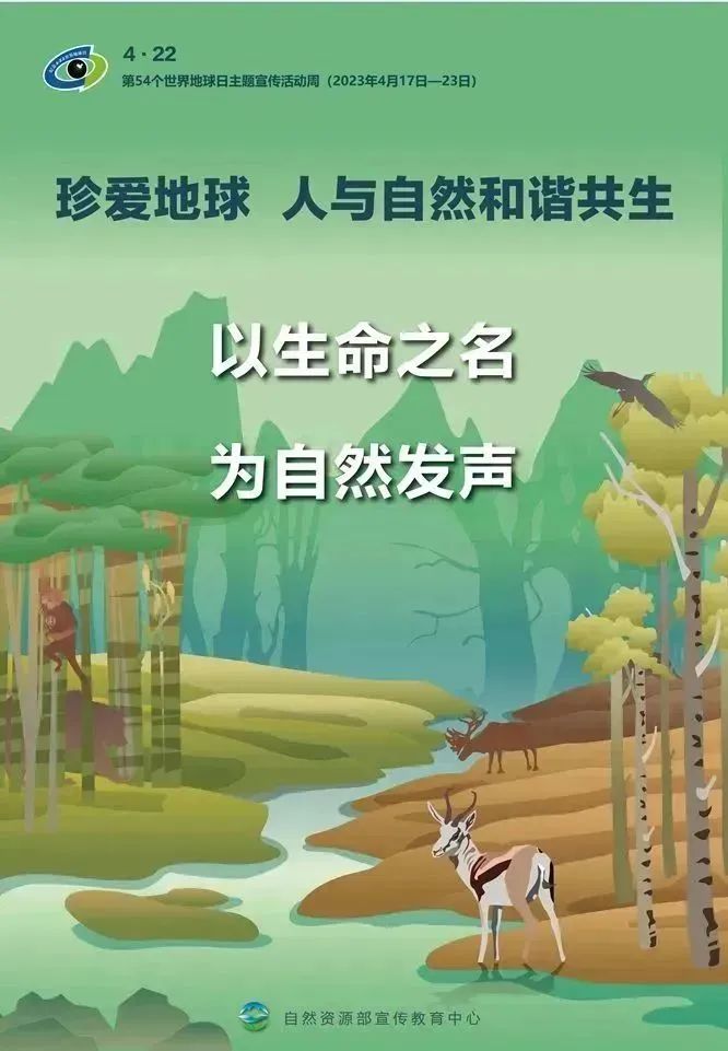 1682236192926691.jpg 5.jpg